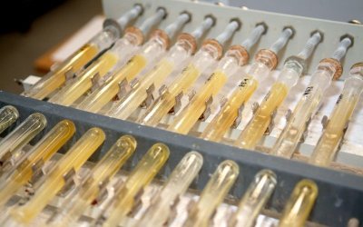 Anti-Doping: Das müssen Hochleistungs- und Amateur-Sportler wissen