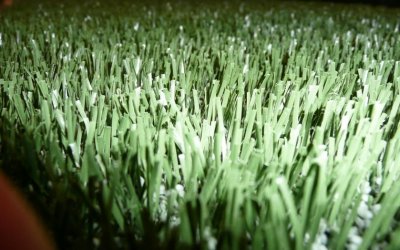 Aktuelle Termine für die Sportplatz-Seminare