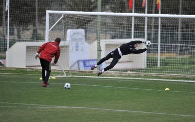 Training & Wissen: Torhütertraining